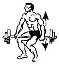 Упражнение 12 для развития мышц мышц бедра