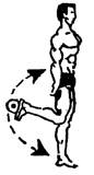 Упражнение 16 для развития мышц мышц бедра