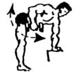 Упражнение 19 для развития мышц плеча
