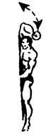 Упражнение 20 для развития мышц плеча